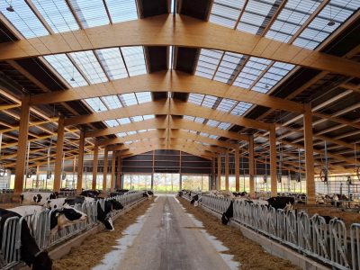 lightroof-systems---melkvee-Nederland-02