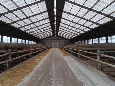 lightroof-systems---melkvee-Nederland-03