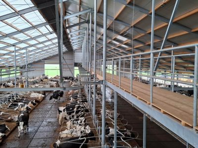 lightroof-systems---melkvee-Nederland-05