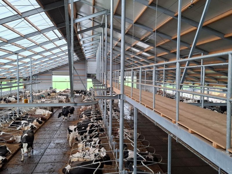 lightroof-systems---melkvee-Nederland-05