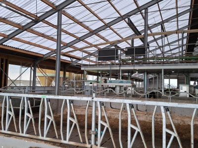 lightroof-systems---melkvee-Nederland-06